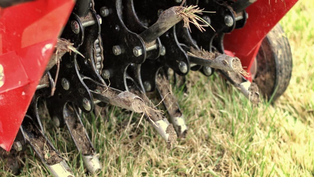 Dethatching or Aeration